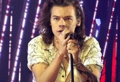 Harry Styles: arrivano i complimenti degli animalisti
