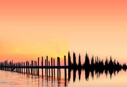 L’artista che trasforma la natura in onde sonore 