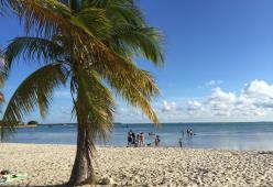 105 Miami: benvenuti a Key Biscayne..
