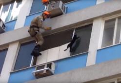 Il salvataggio spettacolare di un gattino 