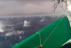 Le sfere di ghiaccio cadono sul mare come piccole bombe! 