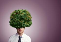 Ecco le straordinarie curiosità che non sapevi sul nostro cervello