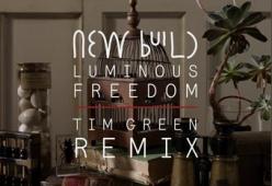 Luminous Freedom (Tim Green Remix)