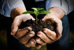 Si chiama Rural Hub ed aiuta gli startupper innovatori della terra