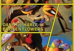Broken Flowers