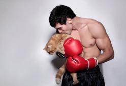 Ragazzi sexy e... gattini!