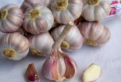 Perché c'è chi si mette uno spicchio d'aglio nell'orecchio?