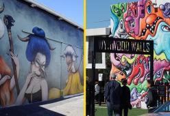 Con 105 Miami alla scoperta dei Muri di Wynwood