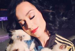 Katy Perry, troppo vicina a John Mayer
