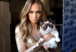 Le foto dei gatti Vip con i loro padroni famosi