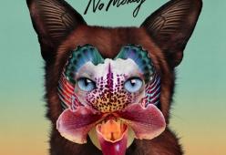 No Money (Radio Mix)