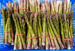 Sai perché se mangi asparagi la pipì puzza?