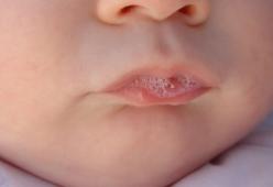 Sai perché la saliva non disseta?