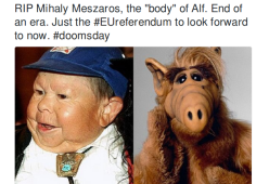 È morto Mihaly Meszaros, l’attore che interpretava l’alieno Alf! 