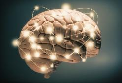 Per la scienza, stiamo diventando più stupidi. Ecco perché
