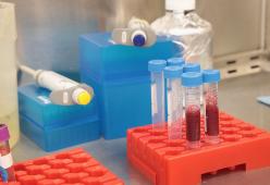 La scienza lo avrebbe dimostrato: c'è vita dopo la morte