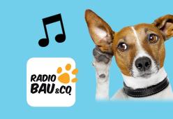 Radio Bau
