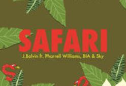Safari