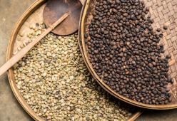 E se il caffè scomparisse? Ecco gli effetti del riscaldamento globale
