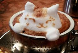 L'arte del cappuccino in 3D: quando il gusto è anche bellezza!