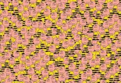 In questa immagine c'è Pikachu nascosto: trovalo!