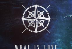 LOST FREQUENCIES
What Is Love 2016