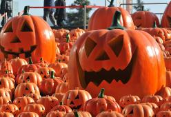 5 cose che non sapevi su Halloween!