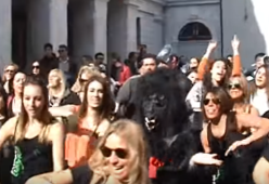 Francesco Gabbani: flash mob al ritmo di "Occidentali's Karma" nella sua Carrara