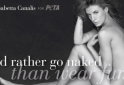 “Stop pellicce”. L’appello di Elisabetta Canalis al direttore di Vogue Italia