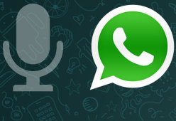 Novità WhatsApp: è possibile trasformare i messaggi vocali in testo prima di inviarli