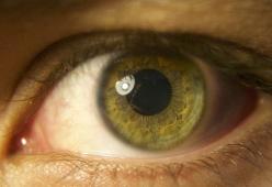 Hai una pupilla grande? Per la scienza sei più intelligente