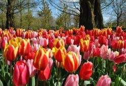 L'equinozio di primavera è oggi, il 20 marzo, e non il 21. Ecco il perché
