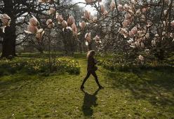 Mal di primavera? È colpa degli ormoni. I consigli per evitare il "mal di stagione"