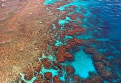 Disastro ambientale: muore la Grande Barriera Corallina australiana