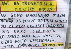 Carolina, 7 anni, cerca il suo orsetto rosa Brodol: “c'ero molto affezionata”