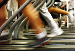 Ecco l'app che ti insulta se non vai in palestra 