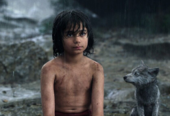 Scoperta la bimba-Mowgli: viveva nella giungla con le scimmie