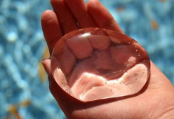Stop alle bottigliette d’acqua, in futuro scompariranno