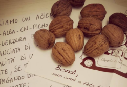 Manda 12mila lettere scritte a mano per vendere le sue noci