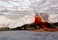 Svelato il mistero delle "cascate di sangue" in Antartide