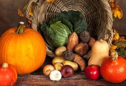 DIETA VEGANA O DIETA ONNIVORA?