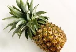 Lasciano ananas in un museo, diventa opera d'arte
