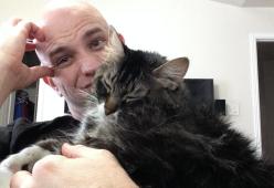La fidanzata: “O me o il gatto” e lui sceglie il gatto