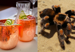 Aragog, il cocktail fatto con il veleno di tarantola