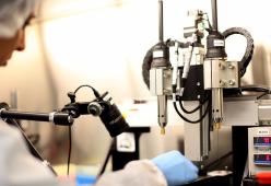 Scienza, riuscita la prima gravidanza da un ovaio artificiale
