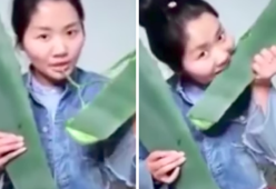 Video: vlogger salutista si avvelena in diretta su YouTube