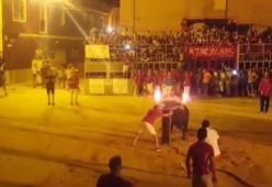Video: danno fuoco alle corna del toro, l'animale si toglie la vita