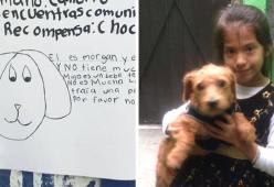 Bimba di 7 anni perde il cane e fa un disegnino per ritrovarlo. E ci riesce! 