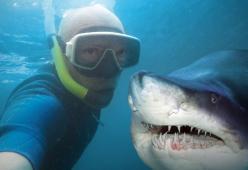 Quando i selfie sono falsi: 2 milioni di italiani mentono sulle loro vacanze
