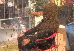 100mila api sul volto per 61 minuti, è record assoluto: il video